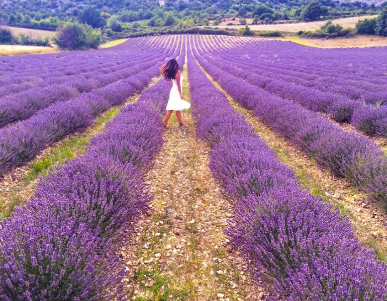 Lavanta Kokulu Mor Rota: Provence Gezi Rehberi